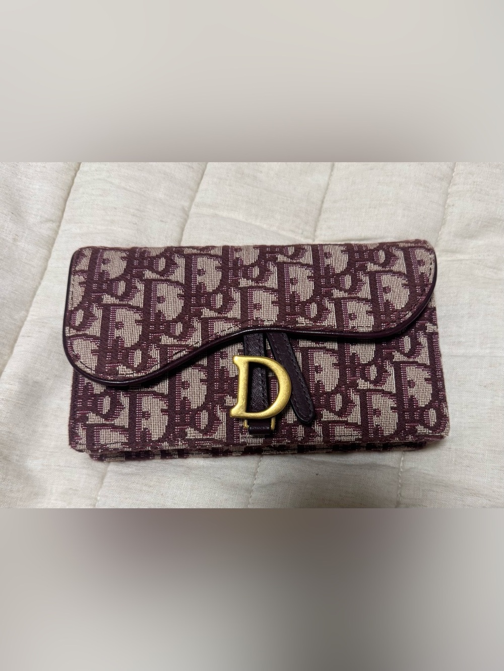 Dior Saddle Waist Bag